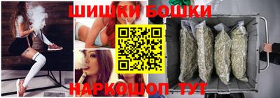 мдпв Кингисепп