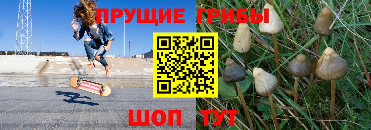 Людиново  закладки  Псилоцибиновые грибы Cubensis  Вход с VPN  Псилоцибиновые грибы Cubensis 